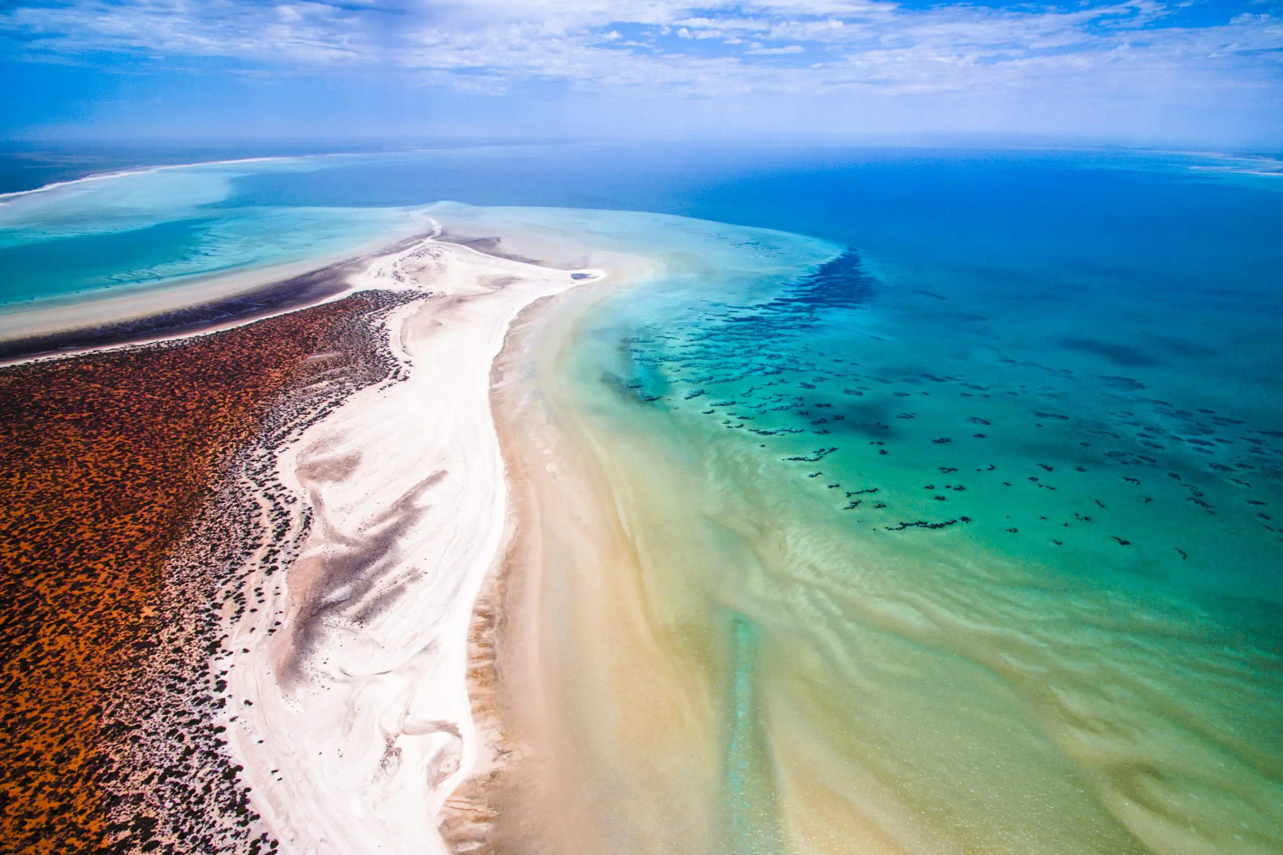 120540-19 Shark Bay