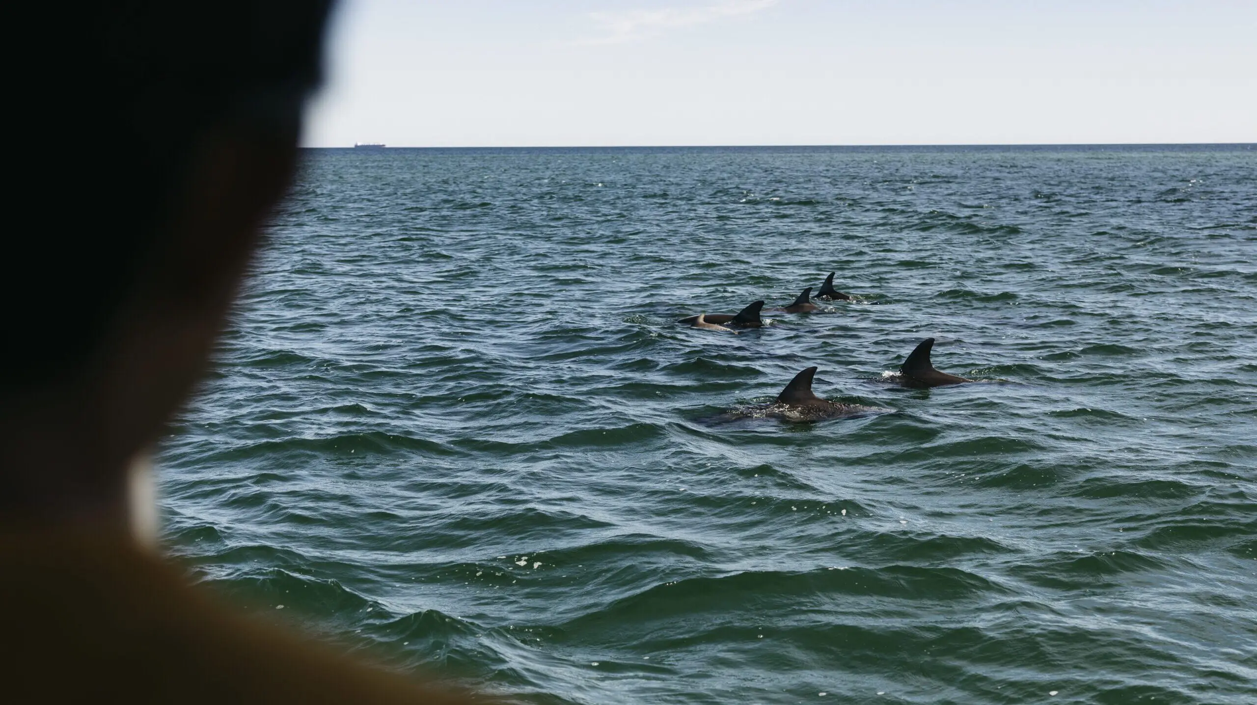 123009-56_Bunbury